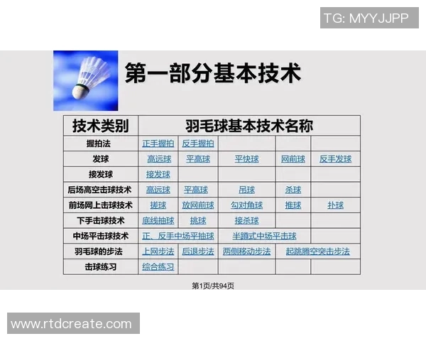 杭州羽毛球队战术分析与表现评估探讨